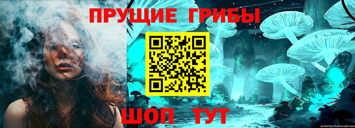 Галлюциногенные грибы мицелий Бийск