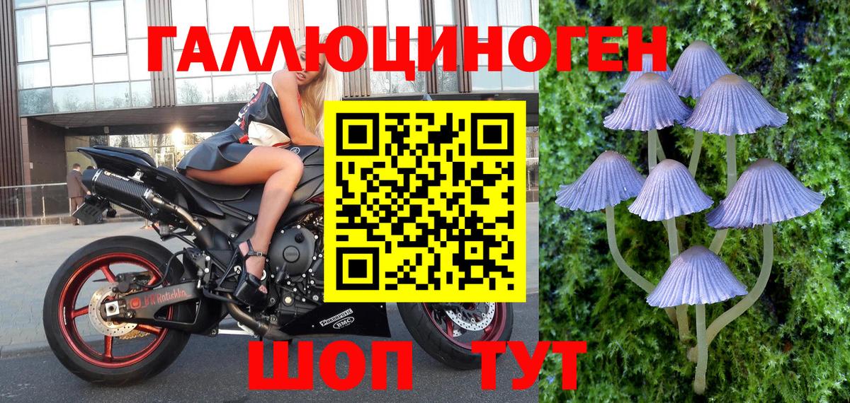Бийск  Галлюциногенные грибы Psilocybe  Вход с VPN  Псилоцибиновые грибы Magic Shrooms 
